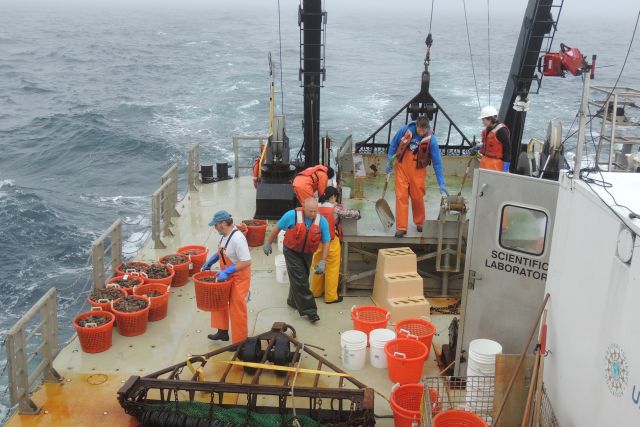 Wire Rope Marine and Fishing