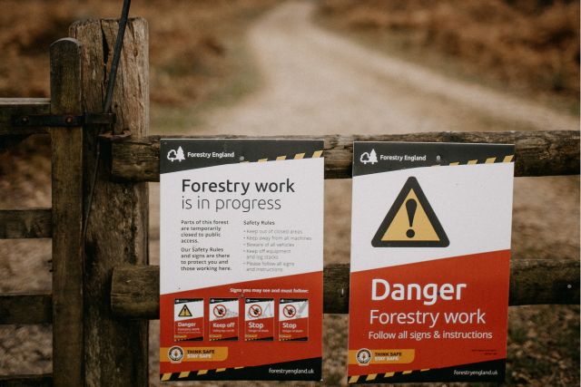 The Dangers of forestry